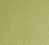 I. Madras pistachio 73
