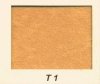 T1