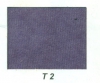 T2