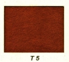 T5