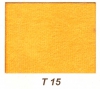 t15