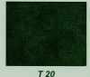 T20