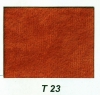 T23