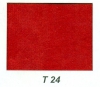 T24