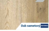 Dub sametový