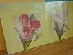 OBRAZ DR - jednoduchý obraz s květinami 100x70 cm 